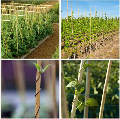 Mininfa Natural Bamboo Stakes 6 Feet, Eco-Friendly Garden Stakes, Plant Stakes Supports Climbing for Tomatoes, Trees, Beans, 20 Pack