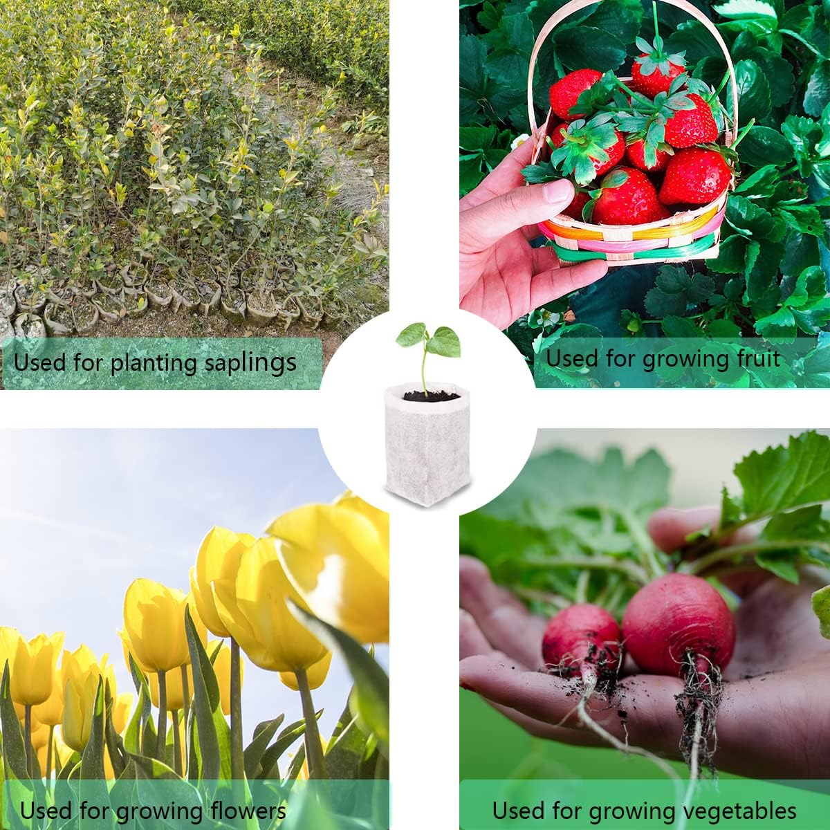 gardtree Plant Nursery Bags 9.8" * 9.8" 100PCS, Non-Woven Biodegradable Plant Grow Bags Fabric Seedling Starter for Vegetable Flower Fruit Saplings Tree, Home Garden Supply