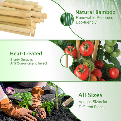 Bamboo Garden Stakes 57 Inch 25pcs, 1/2" Dia Plant Stakes 5ft Approx for Indoor Outdoor Plants, Support Tomato, Cucumber, Beans and More Climbing Plants
