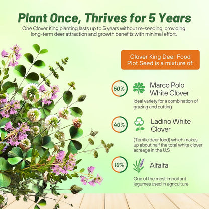 Outsidepride Perennial Clover King Seed Mix - 40 lbs Nitrocoated, Inoculated, Heat & Cold Tolerant, Alfalfa-Enhanced Food Plot Seeds for Deer & Wildlife, Ideal for Spring, Summer, & Winter Plots