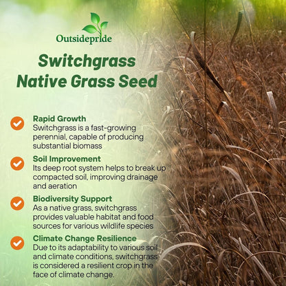 Outsidepride Switchgrass Seed - 10 lbs. Perennial Hardy, Drought & Flood Tolerant Native Grass Seed Ideal Fast-Growing Grasses for Erosion Control, Wildlife Forage & Food Plots, Thrives in Poor Soil