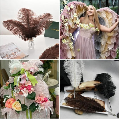 Ballinger Brown Ostrich Feathers Bulk - 24pcs 10-12inch Boho Feathers for vase，Wedding Party Centerpieces and Home Decor