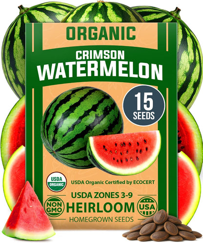 HOME GROWN 𝗨𝗦𝗔 𝗣𝗥𝗘𝗠𝗜𝗨𝗠 𝗢𝗥𝗚𝗔𝗡𝗜𝗖 Watermelon Vegetable Seeds (Crimson Sweet) – 15 Non-GMO, Heirloom Water Melon (7g) for Planting in Home Gardens or Beds Outdoors – Citrullus lanatus