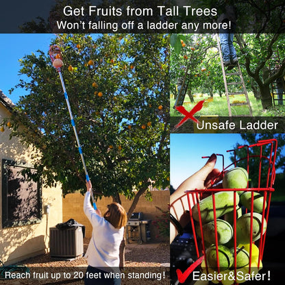 DnSail Fruit Picker Pole Tool with Basket Telescoping - Adjustable Mango Picker 35-68 inch Long Handle - Apple Orange Avocado Acorn Lemon Pear Pomelo Chery Picker for Tree