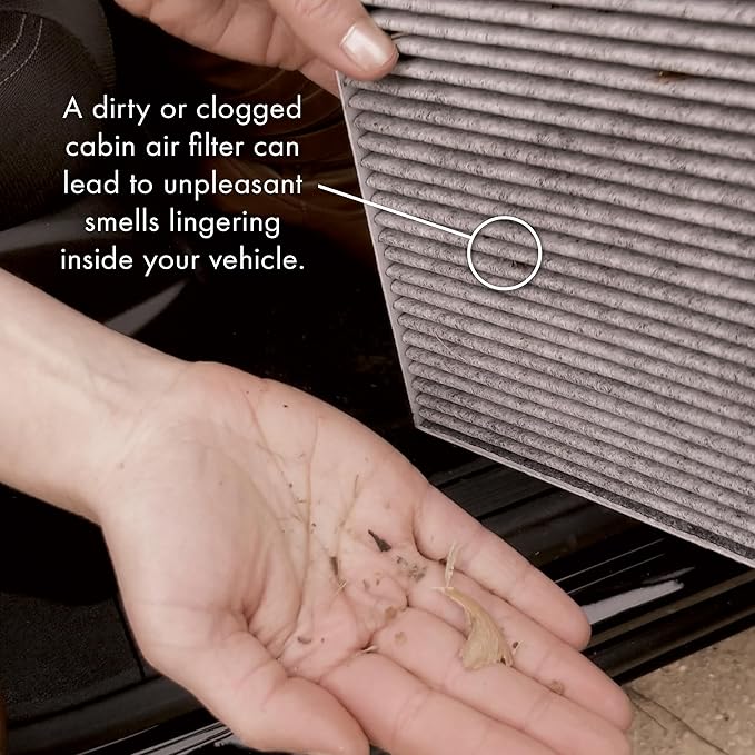 Pureflow Cabin Air Filter PC6067X | Fits 2023-18, 2020-18, 2011 Hyundai Equus G80, 2023-17, 2022-17 G90