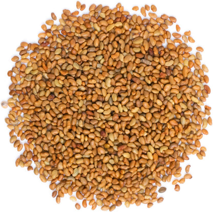 Food to Live - Organic Alfalfa Seeds for Sprouting, 3 Pounds - Non-GMO, Edible Seeds, Pure, Vegan, Kosher, Bulk - Rich in Vitamin K, Vitamin C