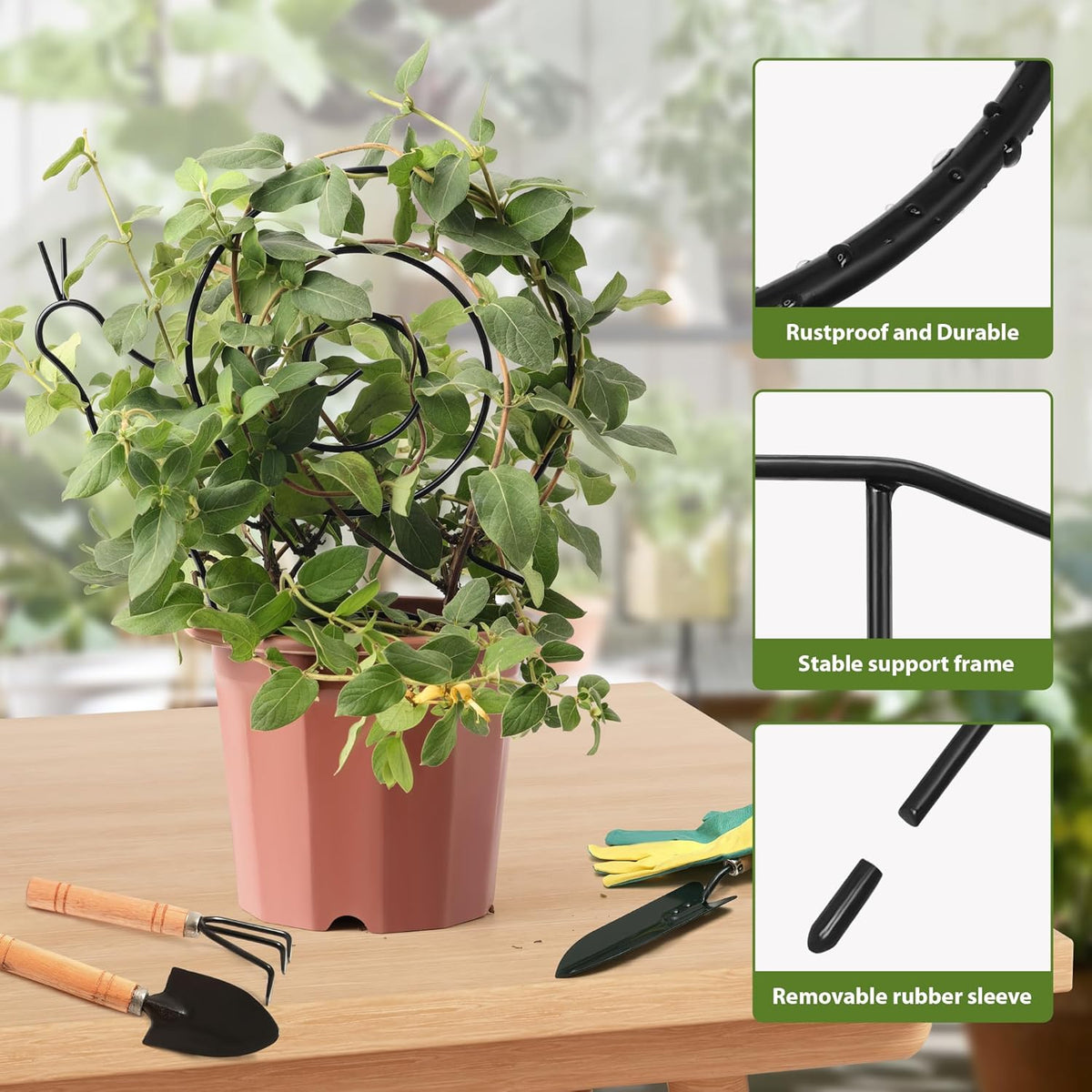 2 Pack Plant Trellis Indoor, 11" W x 13" H Small Trellis for Potted Plants, Decorative Trellis for Climbing Plants Indoor, Ideal for Vines on Tabletops, Balconies, Gardens and Lawns, Snail-Shaped