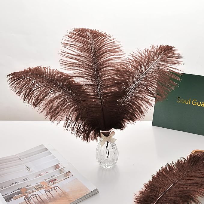 Ballinger Brown Ostrich Feathers Bulk - 24pcs 10-12inch Boho Feathers for vase，Wedding Party Centerpieces and Home Decor