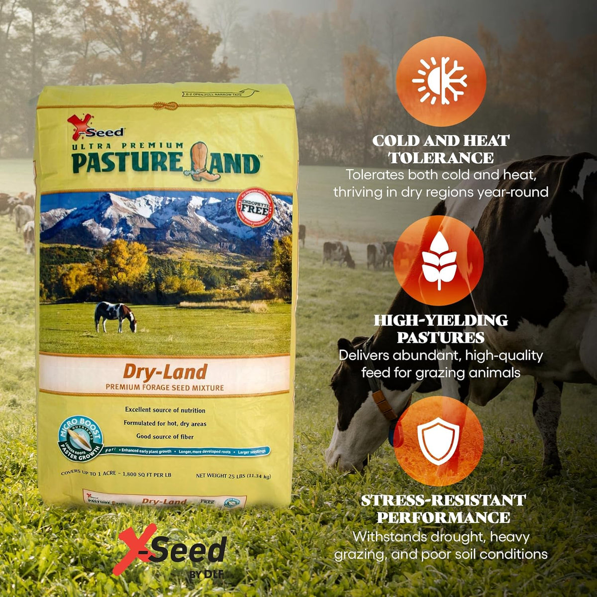 X-Seed Pasture Land Dry-Land Forage Seed Mixture with Micro-Boost – Tall Fescue Orchard Grass Ryegrass Endophyte Free Pasture for Safe Nutrition of Livestock, Formulated for Dry Areas – 25-Pound Bag