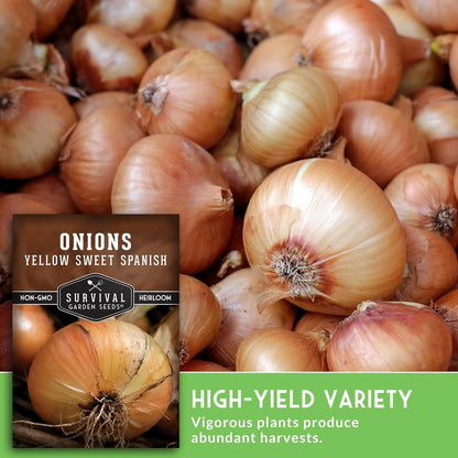 Yellow Sweet Spanish Onion Seed for Planting - 1 Packet with Instructions to Plant and Grow Long Day Onions in Your Home Vegetable Garden - Non-GMO Heirloom Variety - Survival Garden Seeds