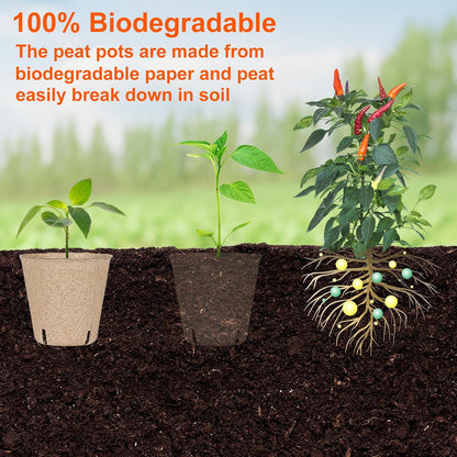 120 Packs 3.15 Inch Peat Pots,Biodegradable Pots for Seedlings with Drainage Holes, Garden Germination Nursery Pots with 100Pcs Plant Labels