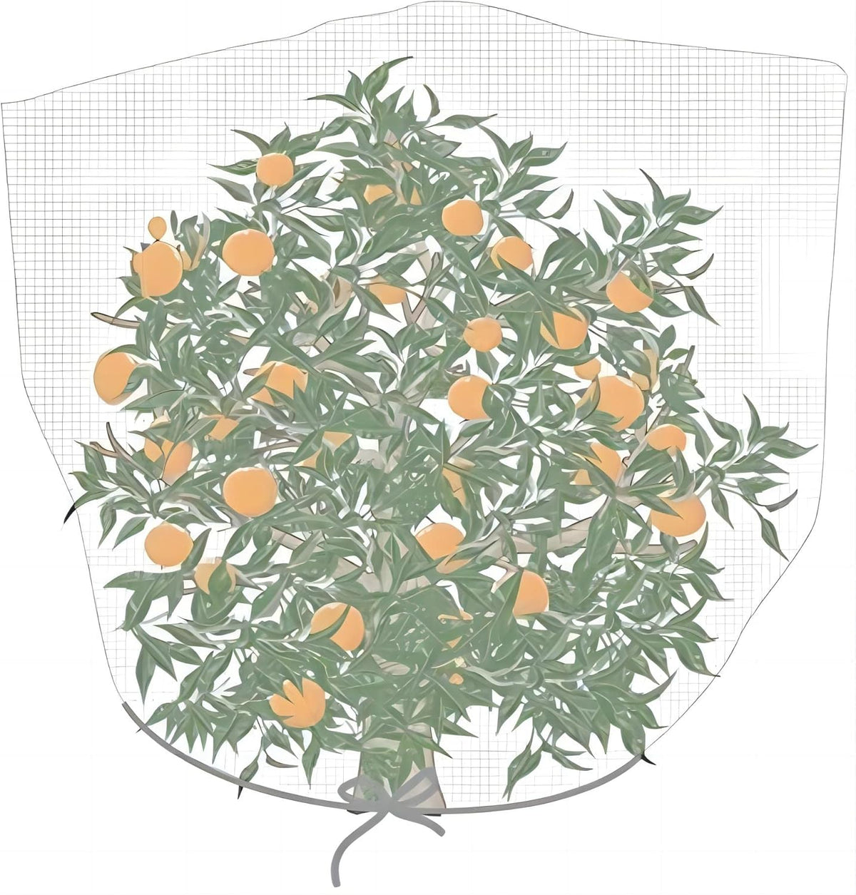 Agfabric Bird Netting 72" Hx72 W Garden Netting,Plant Cover Fruit Tree Netting Mesh Protection Bag with Drawstring,White