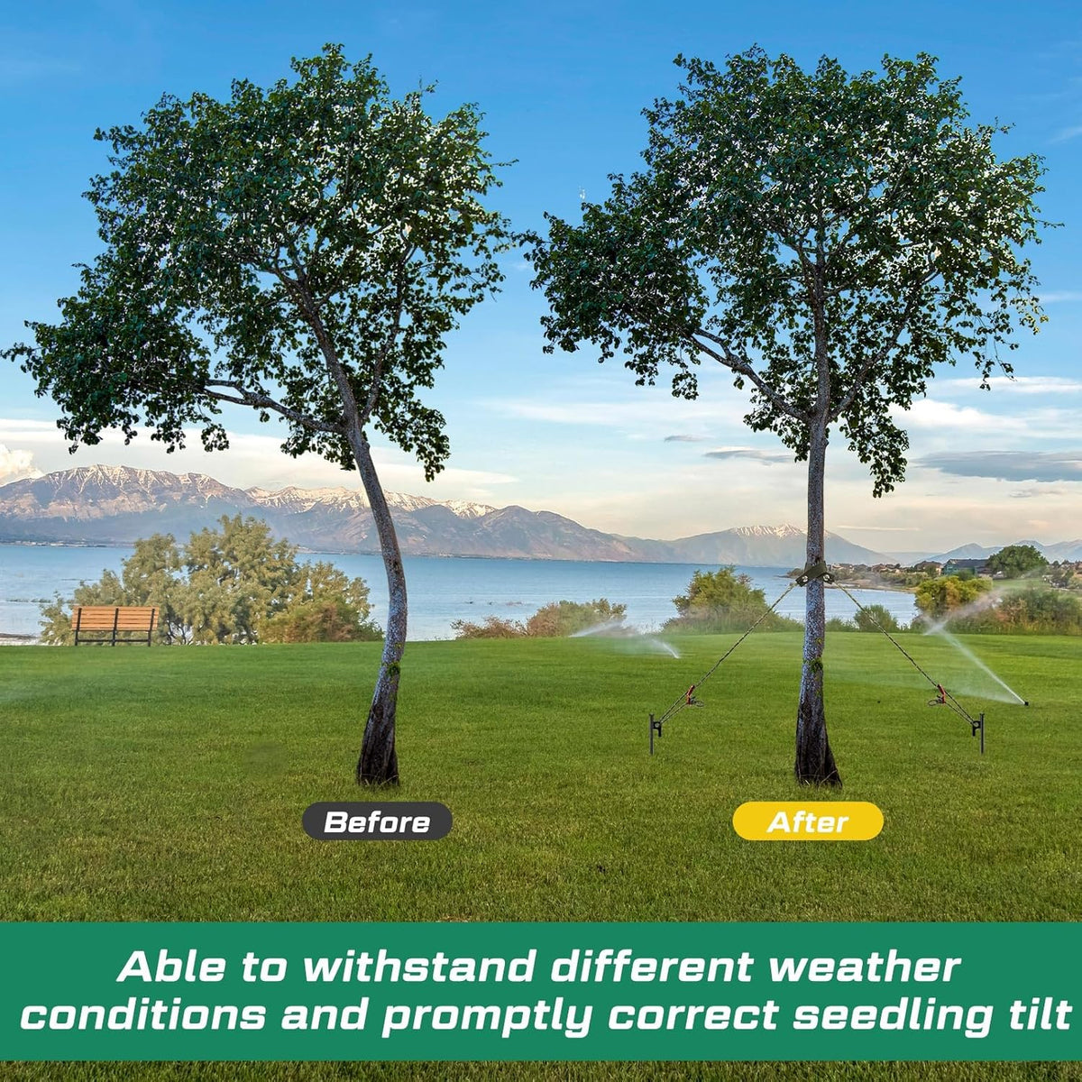 Suzile 60 Pcs Tree Stake Kit, Heavy Duty Tree Staking and Supports for Leaning Trees Include 11. 8'' Steel Stakes 15. 8'' Support Straps 13. 12 ft Ropes for Anchoring Hurricane Protection (Army Green)