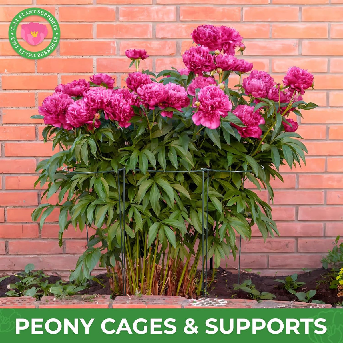 LEOBRO 24 Inch Plant Support Stakes, 6PCS Plant Stakes, Peony Cages and Supports, Garden Stakes, Plant Supports for Outdoor Plants Indoor Plants, Monstera Tomato Hydrangea Support Cage, 10" W x 24" H