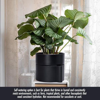 Phoenix Vine 8 Inch Self-Watering Planter Pot with Terracotta Insert, Deep Water Reservoir, and Ceramic-Alike BPA-Free Plastic Planter Pot for Plant, Modern Planter for Houseplants, Black, 53-A-T-2