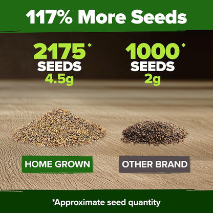 HOME GROWN 𝗨𝗦𝗔 𝗣𝗥𝗘𝗠𝗜𝗨𝗠 Arugula Roquette Seeds Pack 2,175 𝗡𝗢𝗡-𝗚𝗠𝗢 Heirloom Arugula Seeds for Planting Best for Outdoor Gardens,Providing Fast-Growing Greens for Salads - Eruca vesicaria