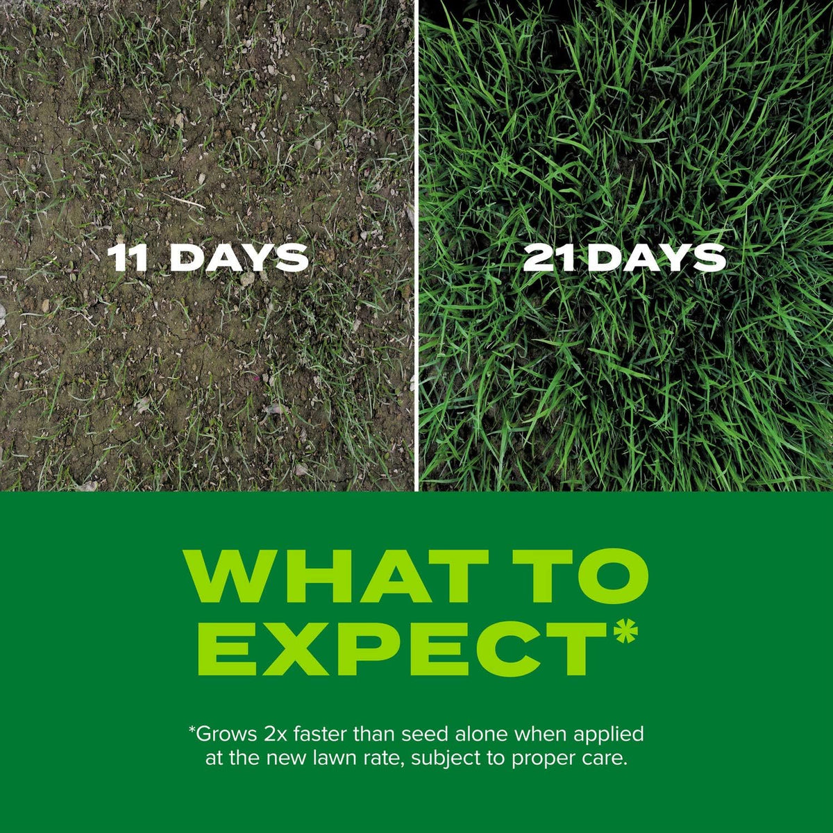 Scotts Turf Builder Rapid Grass Tall Fescue Mix, Combination Grass Seed and Fertilizer, Grows Green Grass in Just Weeks, 16 lbs.