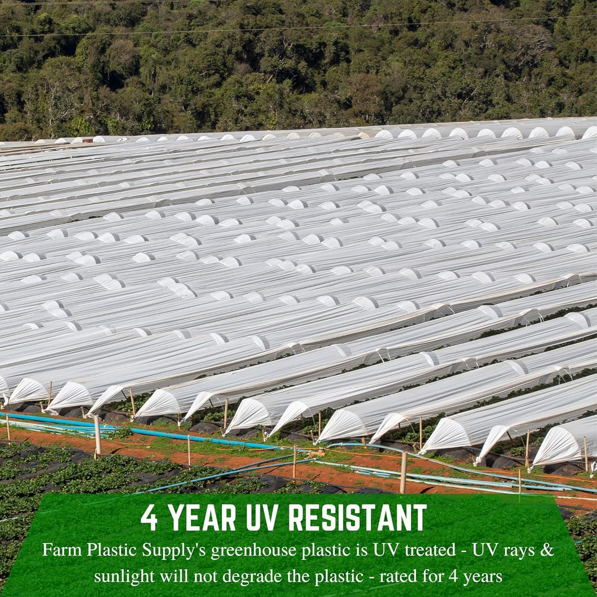 Farm Plastic Supply - String Reinforced 4 Year UV Resistant 10 mil White Greenhouse Plastic Sheeting - 4 Year UV Resistant Polyethylene Greenhouse Film, Hoop House Green House Cover (32' x 20')