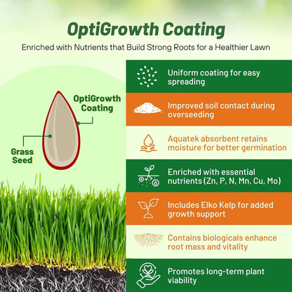 Outsidepride Showtime Perennial Lawn Grass Seed Mix - 25 lbs. Premium Blend of Creeping Red Fescue, Rye Grass & Kentucky Bluegrass Seed for Sports Fields, OptiGrowth Coated for Better Establishment