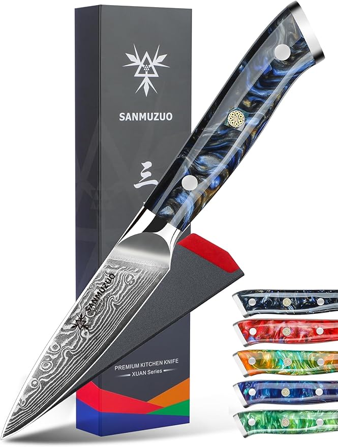 3.5 Inch Paring Knife - Kitchen Fruit Vegetable Knife Damascus Steel & Resin Handle - Xuan Series (Starry Black)
