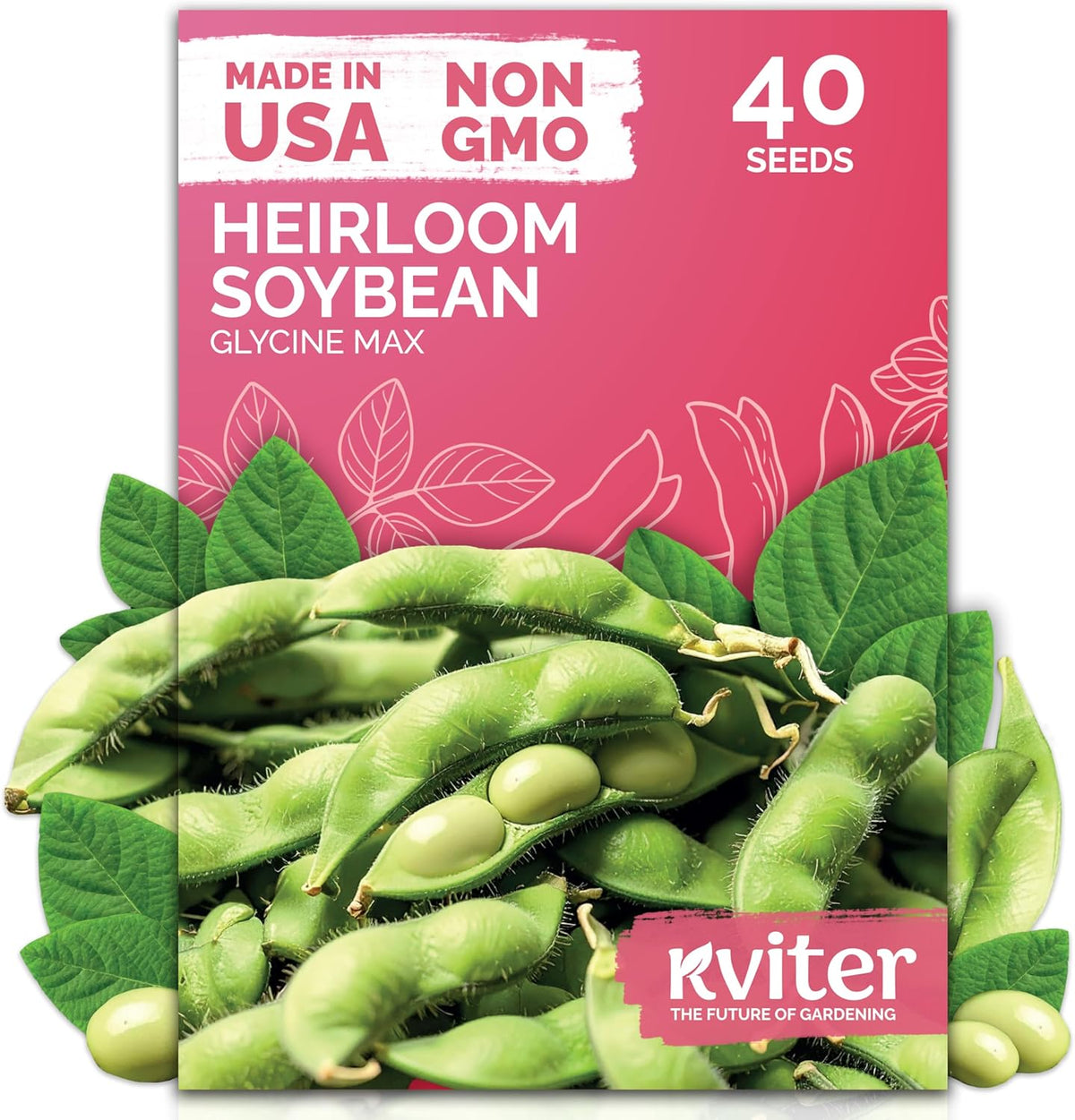 KVITER 40 Soy Bean Midori Giant Edamame Seeds (Glycine max) - Green Soybean, Soy Beans Organic Non GMO Variety, Sweet Nutty Flavor - Heirloom Vegetable Seeds for Planting Outdoors in Home Garden