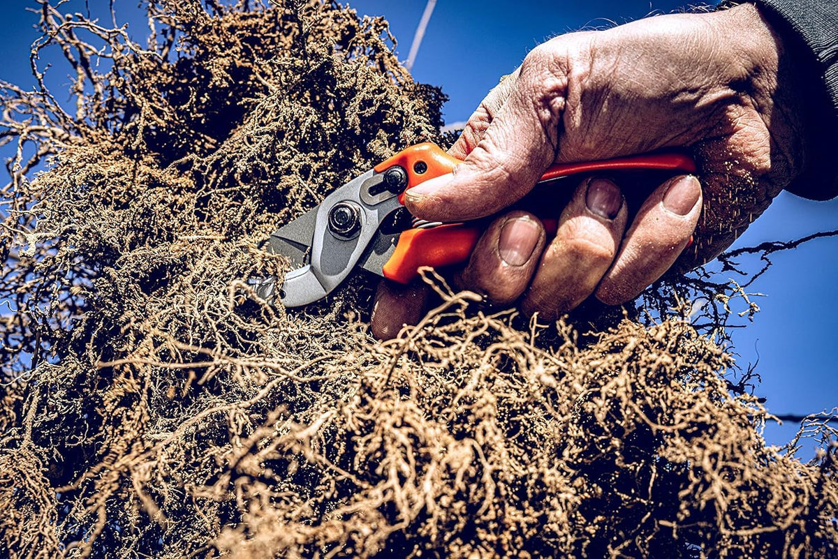 Original LÖWE 15 Anvil Pruning Shears 15.107 with Bypass Geometry for Small to Medium Hands - Curved, Non-Stick Coated Blade Ideal for Cutting Hard Wood like Linden, Spruce, Larch, and Oak