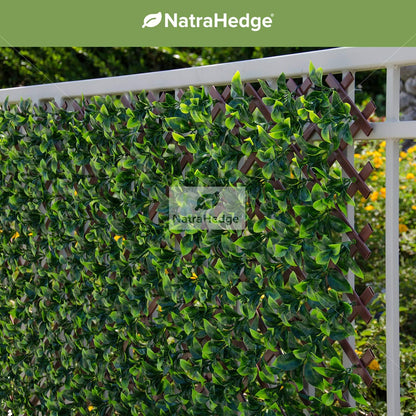 NatraHedge Artificial Ficus Leaf Expandable Lattice