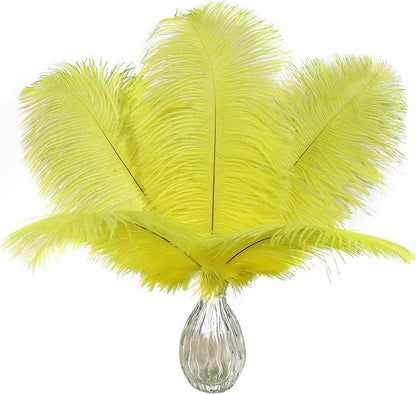 Ballinger Fluorescent Yellow Ostrich Feathers - 24Pcs 10-12inch Feathers Bulk for Vase, Party Centerpieces, Mardi Gras Decorations and Home Decor