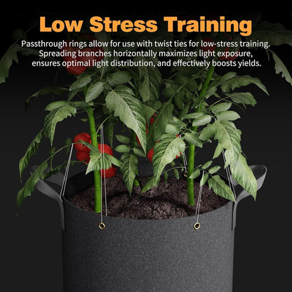 Self-Watering Grow Bags, 5-Pack 10 Gallon 420G Thick Nonwoven Fabric Pots with Reinforced Handles and Multi-Purpose Rings, for Low Stress Plant Training Fruits, Vegetables,and Flowers