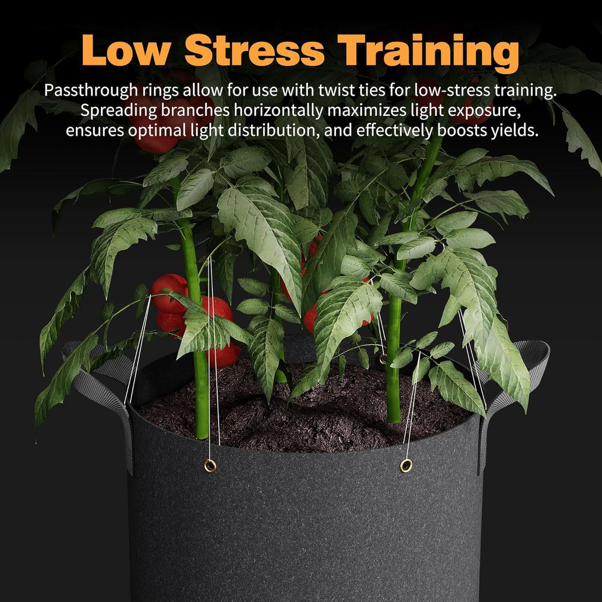Self-Watering Grow Bags, 5-Pack 3 Gallon 420G Thick Nonwoven Fabric Pots with Reinforced Handles and Multi-Purpose Rings, for Low Stress Plant Training Fruits, Vegetables,and Flowers