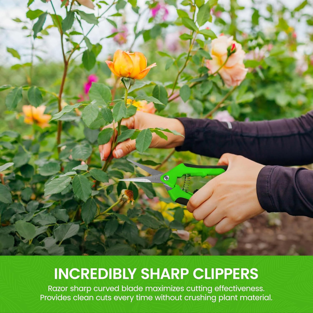 GARDEN GURU Razor Sharp Snip – Professional Garden Pruning Shears Trimmers Scissors – Super Sharp Micro-Tip Precision Stainless Steel Blades - Easy on Arthritic Hands - Soft Ergonomic Rubber Handles