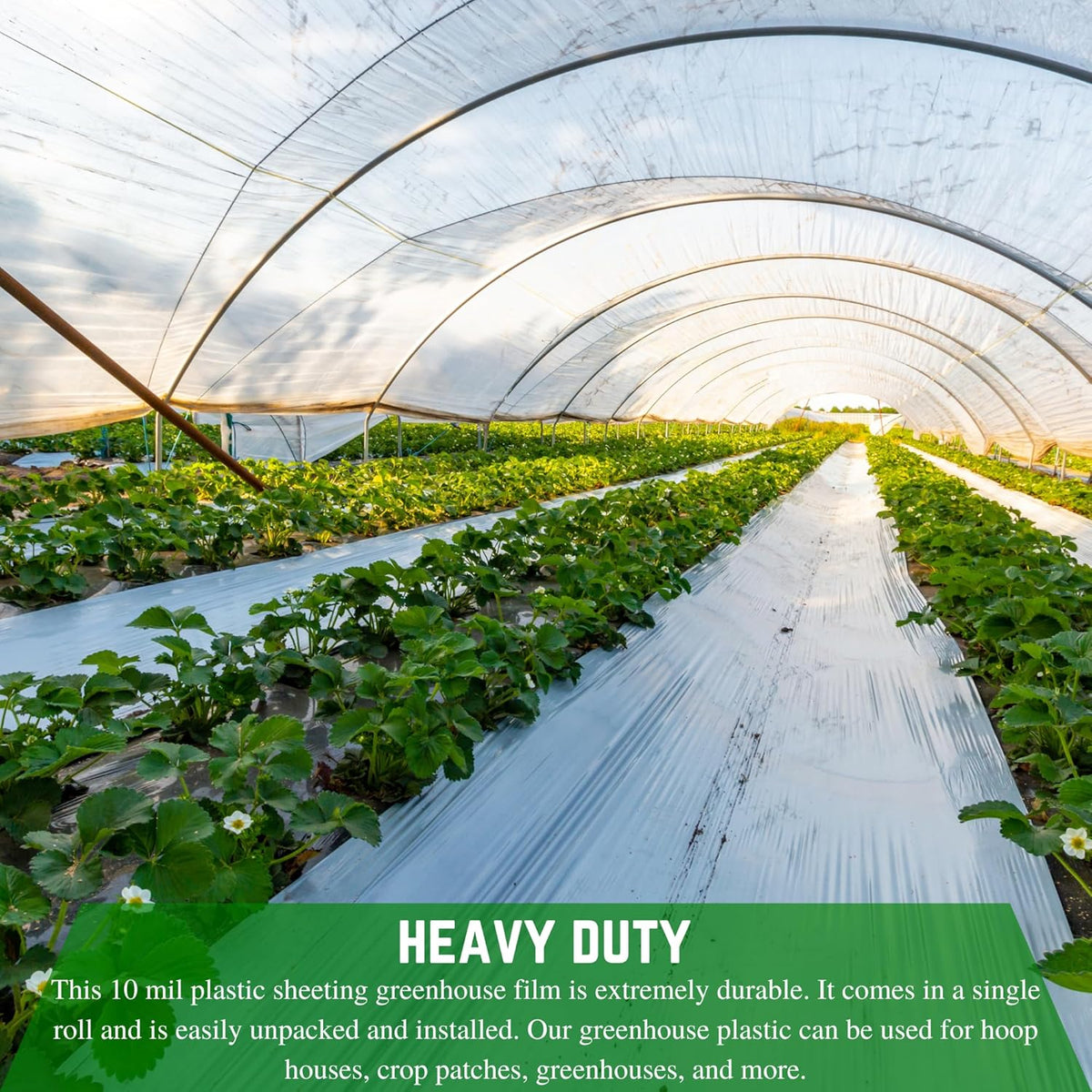 Farm Plastic Supply - String Reinforced 4 Year UV Resistant 10 mil Clear Greenhouse Plastic Sheeting - 4 Year UV Resistant Polyethylene Greenhouse Film, Hoop House Green House Cover (12' x 28')