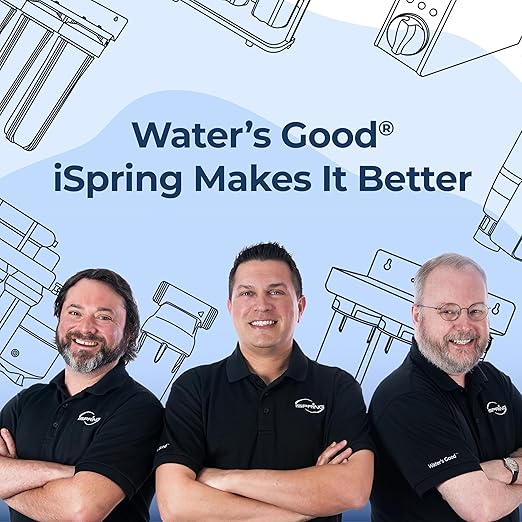 iSpring Whole House Water Filter System, Reduces Sediment, PFAS, Heavy Metals, Chlorine, Chloramine, Hydrogen Sulfide, 2-Stage Whole House Water Filtration System, Model: WGB22B-KS