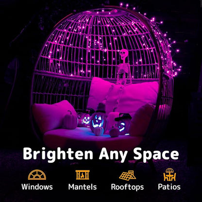 PREXTEX 100 Count Purple Halloween Lights - 20 ft Fairy String Lights with Black Wire - Violet Indoor and Outdoor Mini Light for Halloween Parties, Christmas Holiday Decorations, Fences and Patios