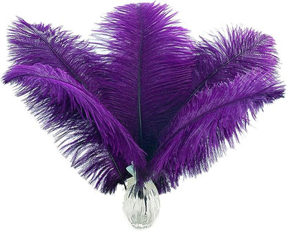 Ballinger Purple Ostrich Feathers Bulk - 24Pcs 12-14inch Big Feathers for Vase, Party Centerpieces Mardi Gras and Home Decor