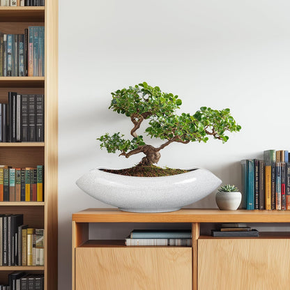 Ceramic Bonsai Tree Pot - 18 Inch Ceramic Pots for Plants, Large Succulent Planter with Drainage Hole for Indoor Outdoor, Unique Planters for Flower, Home Decor, Gardening Gifts, White-Black