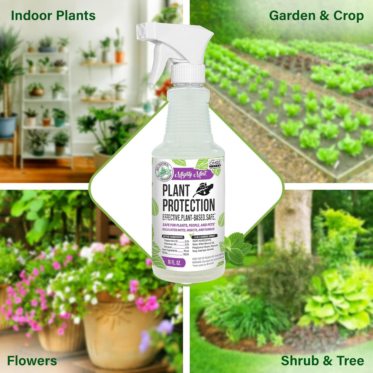 Mighty Mint Peppermint Plant Protection Spray for Insects, Gnats, Fungus, Mites, and Disease, 16 oz