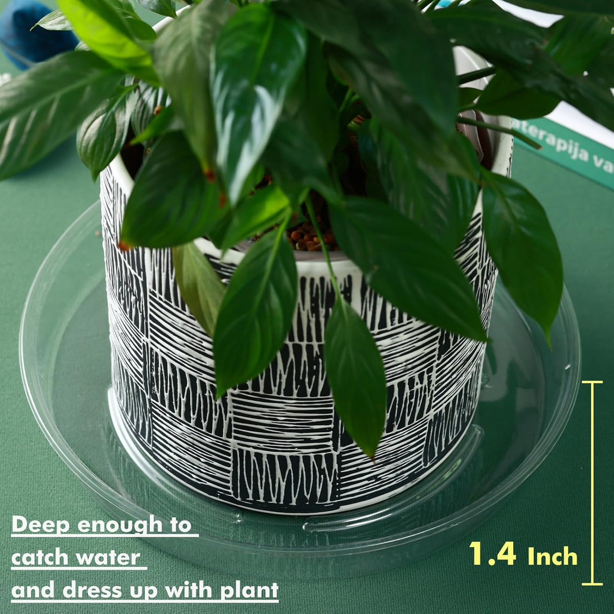 Saucer 30 Pack Plant Trays for Pots 10 Inch Plastic for Outdoors and Indoors Clear Drip Trays for Potted Plants Flower Pot Plates to Catch Water Drainage Dishes No Holes