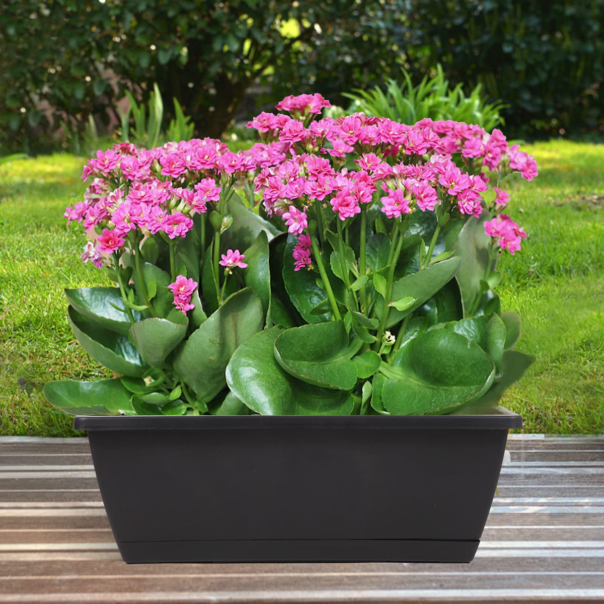 8pcs Window Box Planter,17 Inches Flower Window Boxes,Rectangle Planters Box with Drainage Holes and Trays, Plastic Vegetable Planters for Windowsill Patio Garden Home Decor Porch Yard (Black)