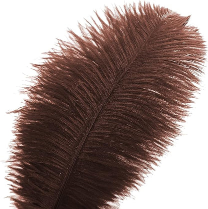 Ballinger Brown Big Ostrich Feathers - 24pcs 8-10inch Craft Feathers for Party Centerpieces, Flower Arrangement and Home Decor