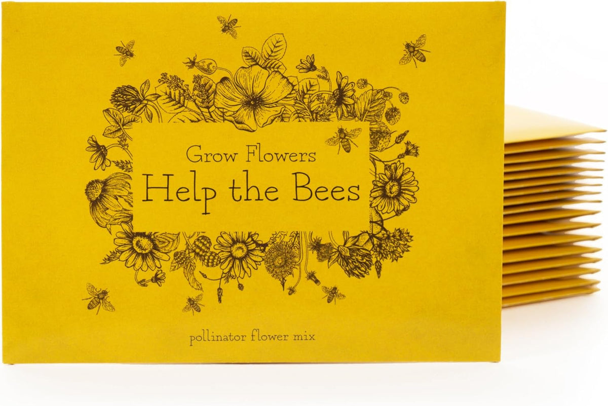Bentley Wildflower Pollinator Mix, 25 Non-GMO Packets for Garden Planting, Non-Coated Flower Seeds to Grow Plants and Help Bees, Beautiful Gift