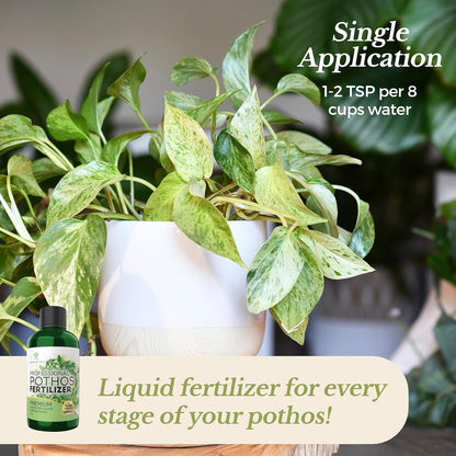 Professional Liquid Pothos Plant Fertilizer | 3-1-2 Concentrate for Epipremnums and Houseplants | Multi-Purpose Blend & Gardening Supplies | 8 oz Bottle