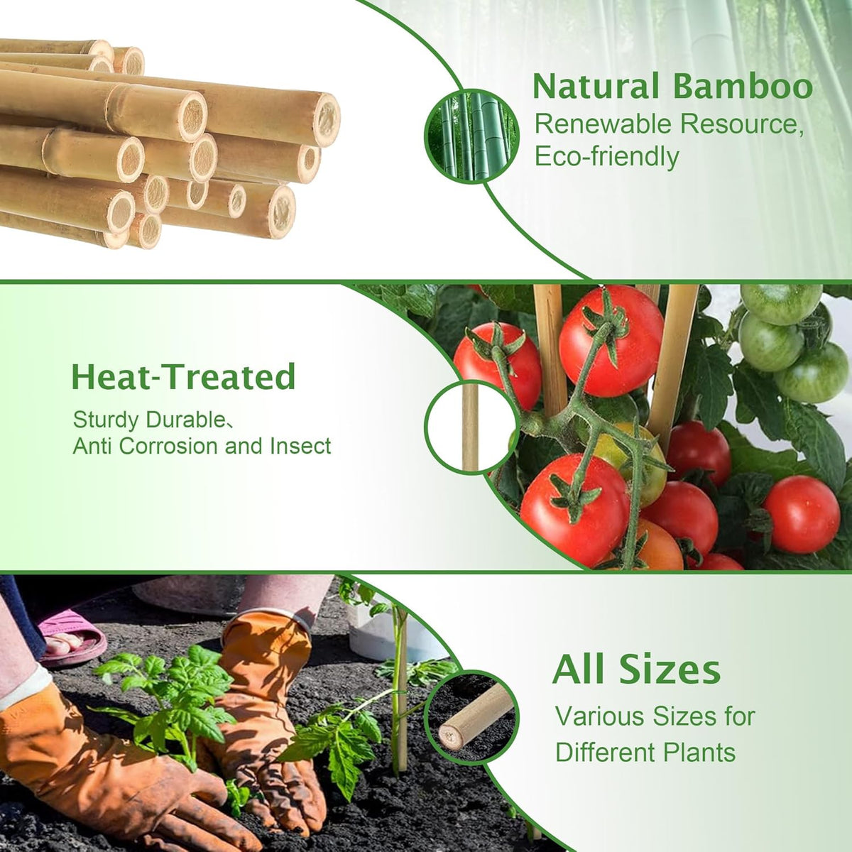 Bamboo Stakes 8FT, 8 Feet Natural Bamboo Plants Stakes, 1" D Thicker Heavy Duty Garden Stakes 10 Pack for Tomatoes, Beans, Flowers, Potted and More Climbing Plants