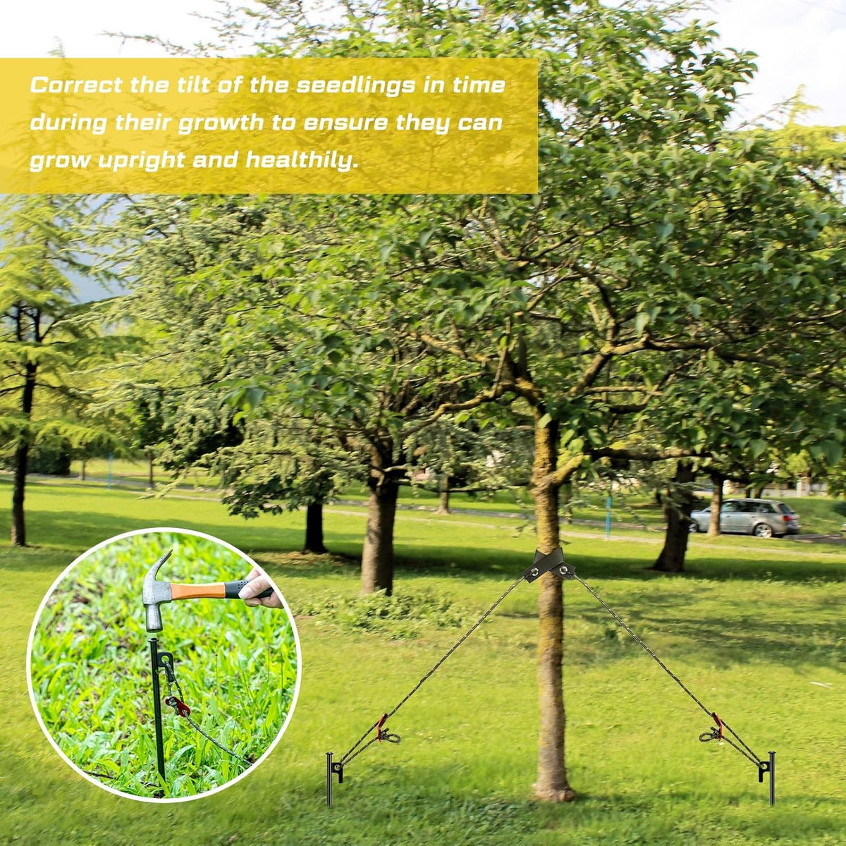 Suzile 60 Pcs Tree Stake Kit, Heavy Duty Tree Staking and Supports for Leaning Trees Include 11. 8'' Steel Stakes 15. 8'' Support Straps 13. 12 ft Ropes for Anchoring Hurricane Protection (Army Green)