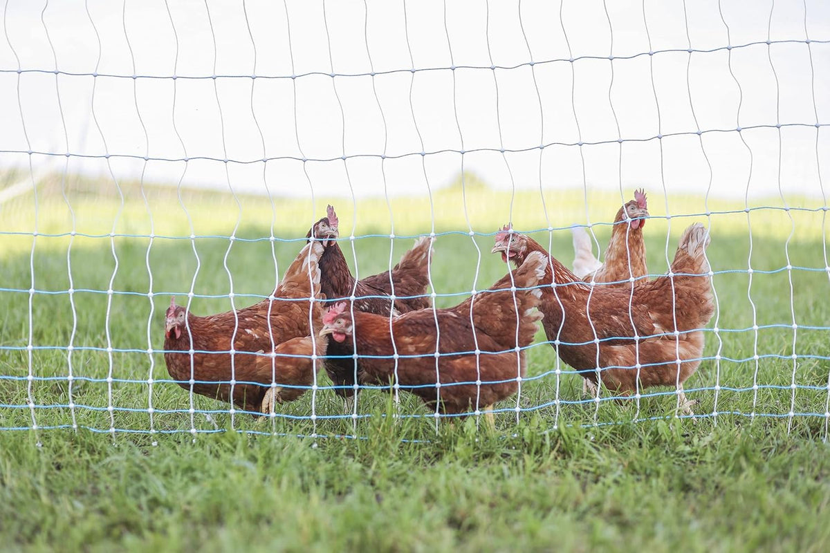 Starkline 42" x 164' Standard Electric Poultry Netting Kit with A/C Energizer (11/42/3) Electric Chicken Fence Kit for Backyards, Homesteads, and on Farms and Ranches