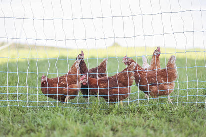 Starkline 42" x 164' Standard Electric Poultry Netting Kit with A/C Energizer (11/42/3) Electric Chicken Fence Kit for Backyards, Homesteads, and on Farms and Ranches