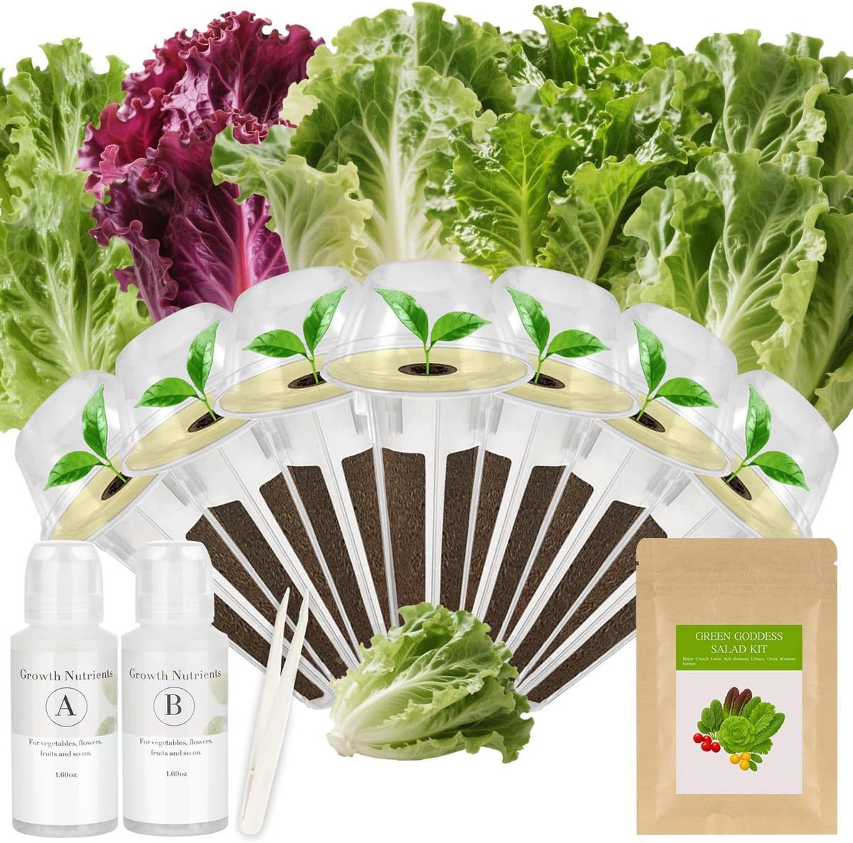 Green Goddess Salad Seed Pod Kit for AeroGarden, idoo, Ahopegarden, MUFGA with Red Romaine/Green Romaine/American Fast/Parris Island/Buttercrunch Lettuce - Compatible with All Garden(7-Pod)