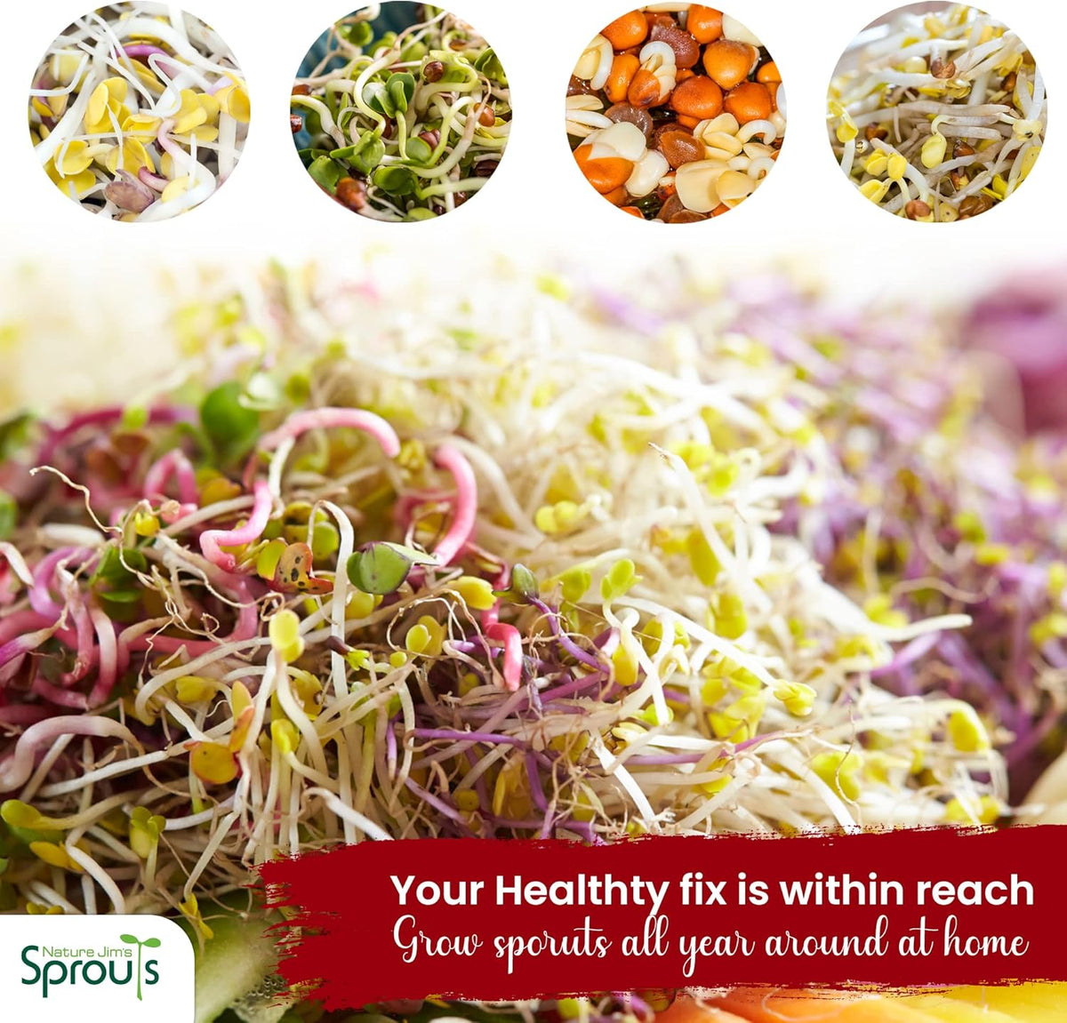 Nature Jims Radish Sprout Seeds – 16 Ounce Organic Sprouting Seeds – Non-GMO Premium Radish – Resealable Bag for Longer Freshness Rich in Vitamins, Minerals, Fiber