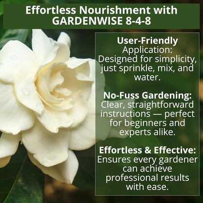 8-4-8 Acidic Fertilizer for Azaleas, Camellias (Camelia), Hydrangeas, Blueberries, Gardenias, Magnolia Trees, Evergreens, and Rhododendrons - Ideal Iron-Rich Plant Food (4 QUARTS)