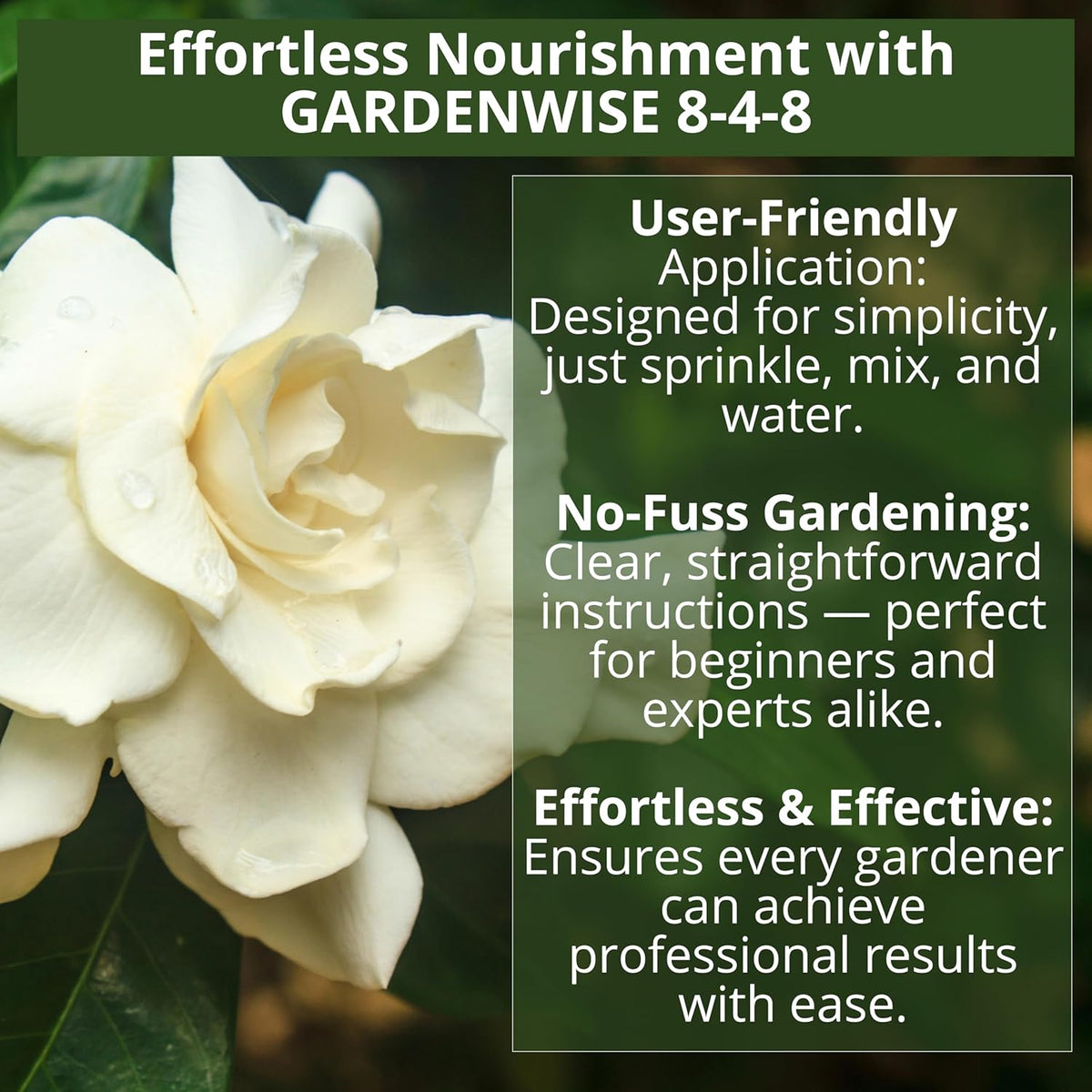 8-4-8 Acidic Fertilizer for Azaleas, Camellias (Camelia), Hydrangeas, Blueberries, Gardenias, Magnolia Trees, Evergreens, and Rhododendrons - Ideal Iron-Rich Plant Food (1 Quart)